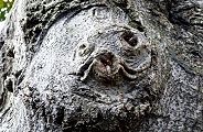 120129-ottosei.jpg(12295 byte)