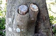 120131-bouen.jpg(10033 byte)