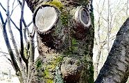 120209-aisiteru.jpg(11959 byte)