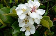 110510-maruba.jpg(7417 byte)