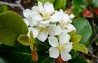 110510-maruba4.jpg(5217 byte)