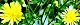 110513-kouzorina-s.jpg(2017 byte)