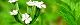 110513-yabujirami-s.jpg(1534 byte)