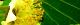 110521-kyuui-s.jpg(1462 byte)