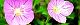 110601-yugesyo-s.jpg(1770 byte)