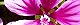 110504-zeni-s.jpg(1797 byte)