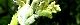 110615-takeni-s.jpg(1606 byte)