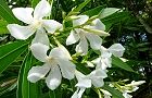 110623-kyoutiku2.jpg(6863 byte)