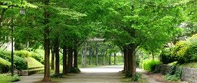 110623-metasekoia2.jpg(15862 byte)
