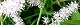 110704-akasyouma-s.jpg(1803 byte)