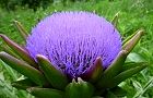 110704-cyousen.jpg(5423 byte)
