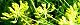 110704-uikyou-s.jpg(2023 byte)