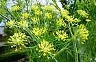 110704-uikyou2.jpg(7660 byte)
