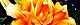 110705-yabu-s.jpg(1845 byte)
