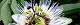110801-tokeisou-s.jpg(1741 byte)