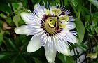 110801-tokeisou2.jpg(5998 byte)