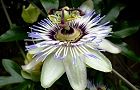 110801-tokeisou4.jpg(5576 byte)