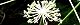 110804-sisiudo-s.jpg(1754 byte)