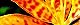 110812-hiougi-s.jpg(1827 byte)