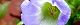 110821-oosen-s.jpg(1491 byte)