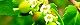 110825-oonisiki-s.jpg(1665 byte)