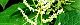 110829-itadori-s.jpg(1853 byte)