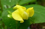 110901-noazuki.jpg(4887 byte)