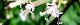 110903-monijigasa-s.jpg(1655 byte)