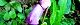 110908-nanbankiseru-s.jpg(1841 byte)