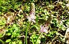 110908-turubo2.jpg(8998 byte)