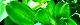 110913-onidokoro-s.jpg(1668 byte)