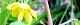 111004-karasugomas.jpg(1679 byte)