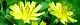 111004-yakusiso-s.jpg(1758 byte)