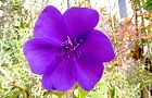 111018-sikon3.jpg(6432 byte)
