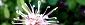 111027-kouyahouki-s.jpg(1706 byte)