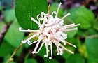 111027-kouyahouki3.jpg(5353 byte)
