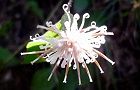 111027-kouyahouki4.jpg(4779 byte)