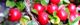 111109-benisidan-s.jpg(1777 byte)
