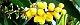 111115-hosoba-s.jpg(1928 byte)