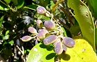 111125-nezumi.jpg(6745 byte)