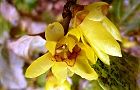 111226-roubai2.jpg(5253 byte)