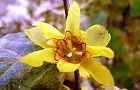 111226-roubai3.jpg(5156 byte)