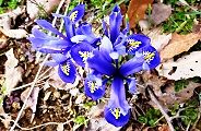 120315-ayama.jpg(13438 byte)