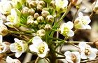 120316-benpen2.jpg(6954 byte)