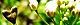 120322-benpen-s.jpg(1814 byte)
