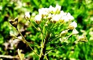 120322-benpen.jpg(10395 byte)