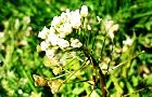 120322-benpen2.jpg(7221 byte)