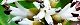 120330-hukkiso-s.jpg(1870 byte)