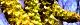 120330-oobayasya-s.jpg(1934 byte)