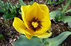 120405-tyuripu.jpg(5870 byte)